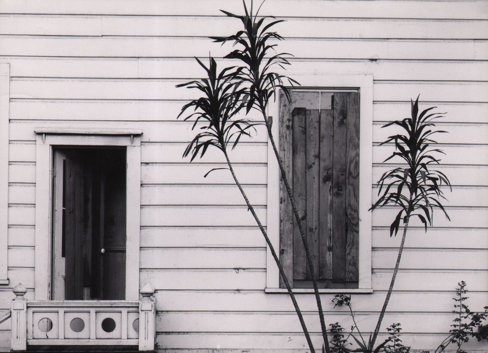 Pirkle Jones, Untitled, ​c. 1955&ndash;1960. Detail of a white house with an open door and shuttered window. A tall plant grows in front of the window.