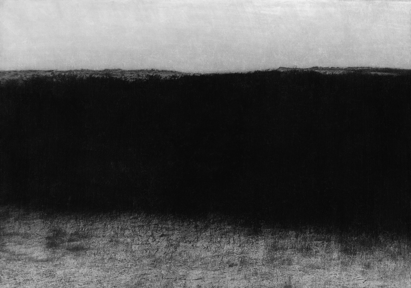Jungjin Lee, Voice #25, 2019., Archival Pigment Prints, Image: 152.5 x 213.3 cm, Framed: 156.7 x 217.5 x 5 cm.