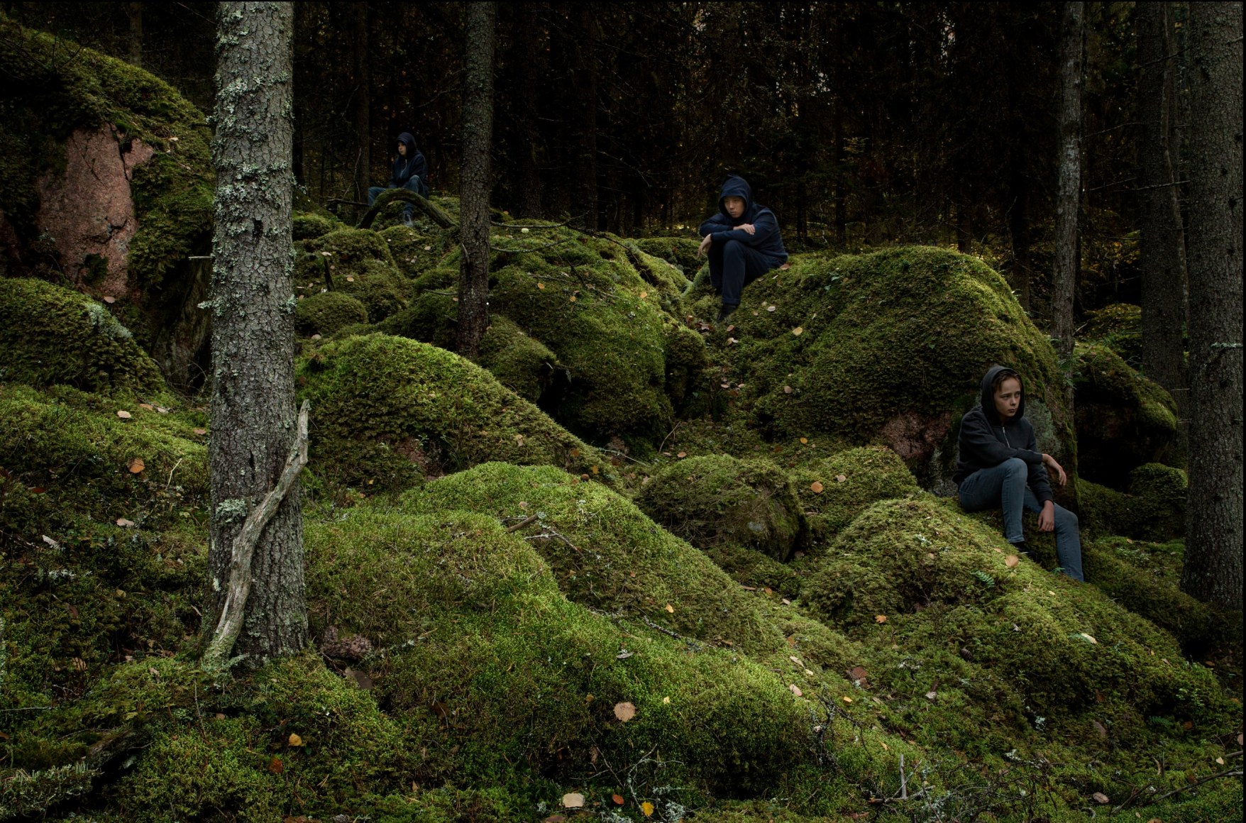 Night Vision (1), 2019-2020