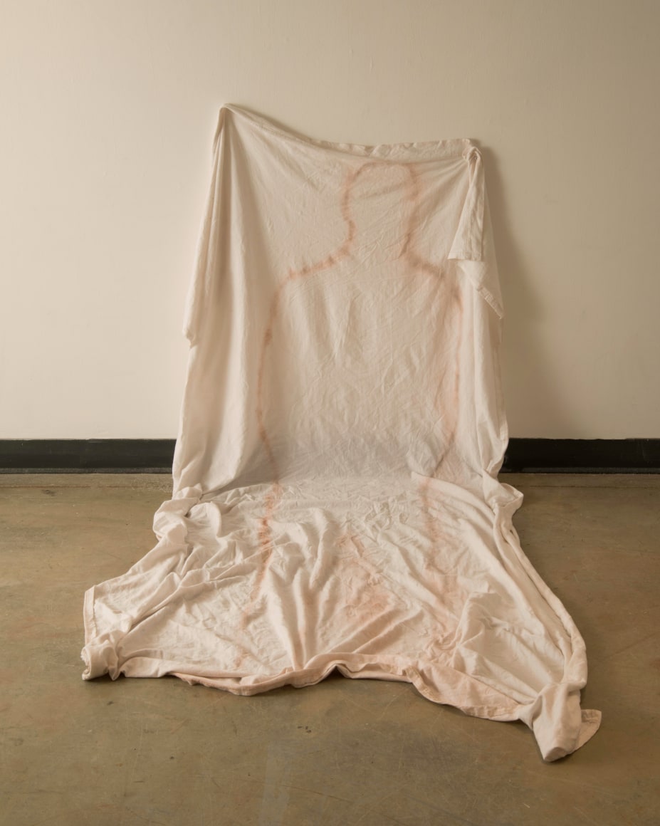 LEVESTER WILLIAMS Ain't No Promised Land Here 2013, residue from bricks found in abandoned detroit packard plant, repurposed cotton sheet, and pins, 38 x 40 x 40 inches.