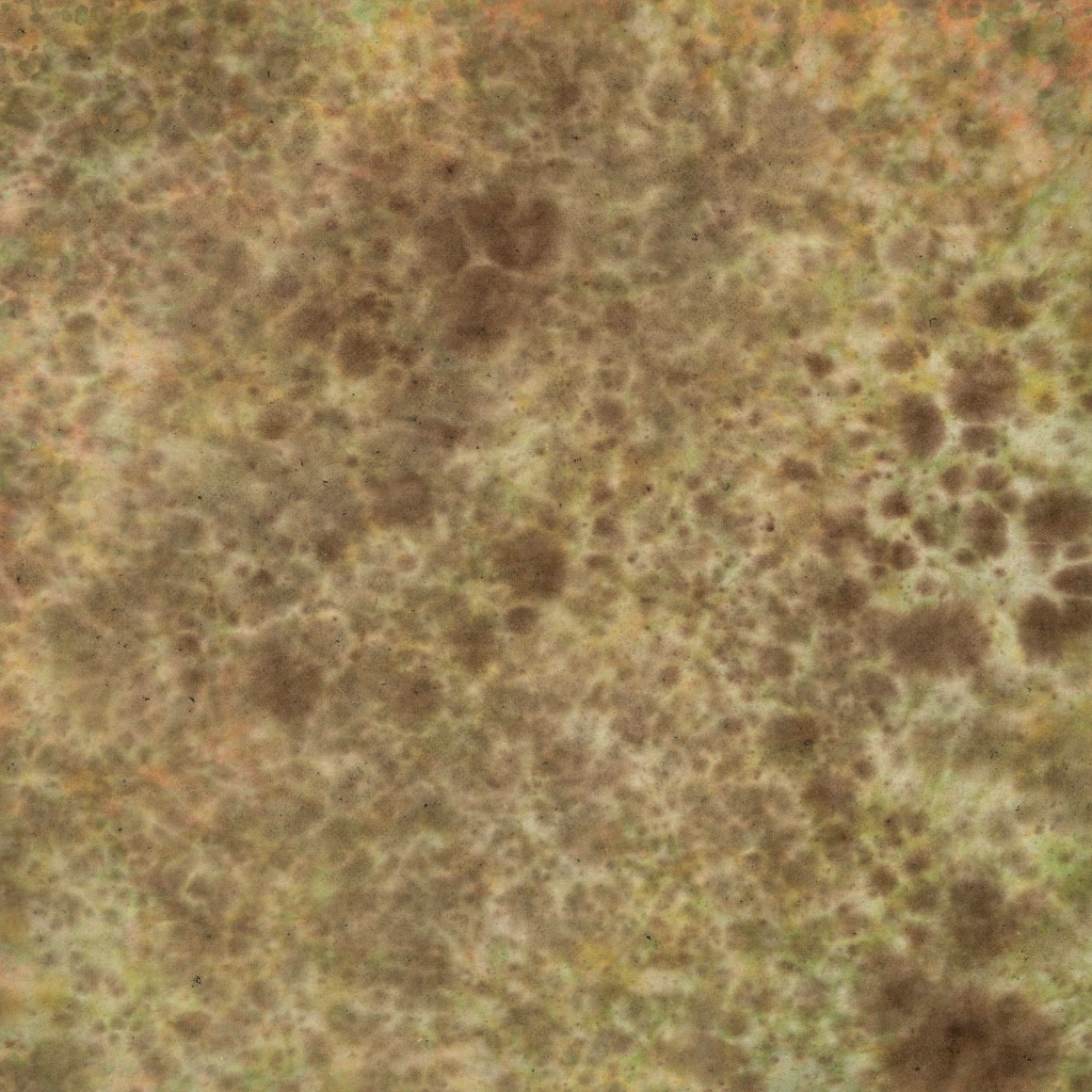 Untitled (green velvet), 1959