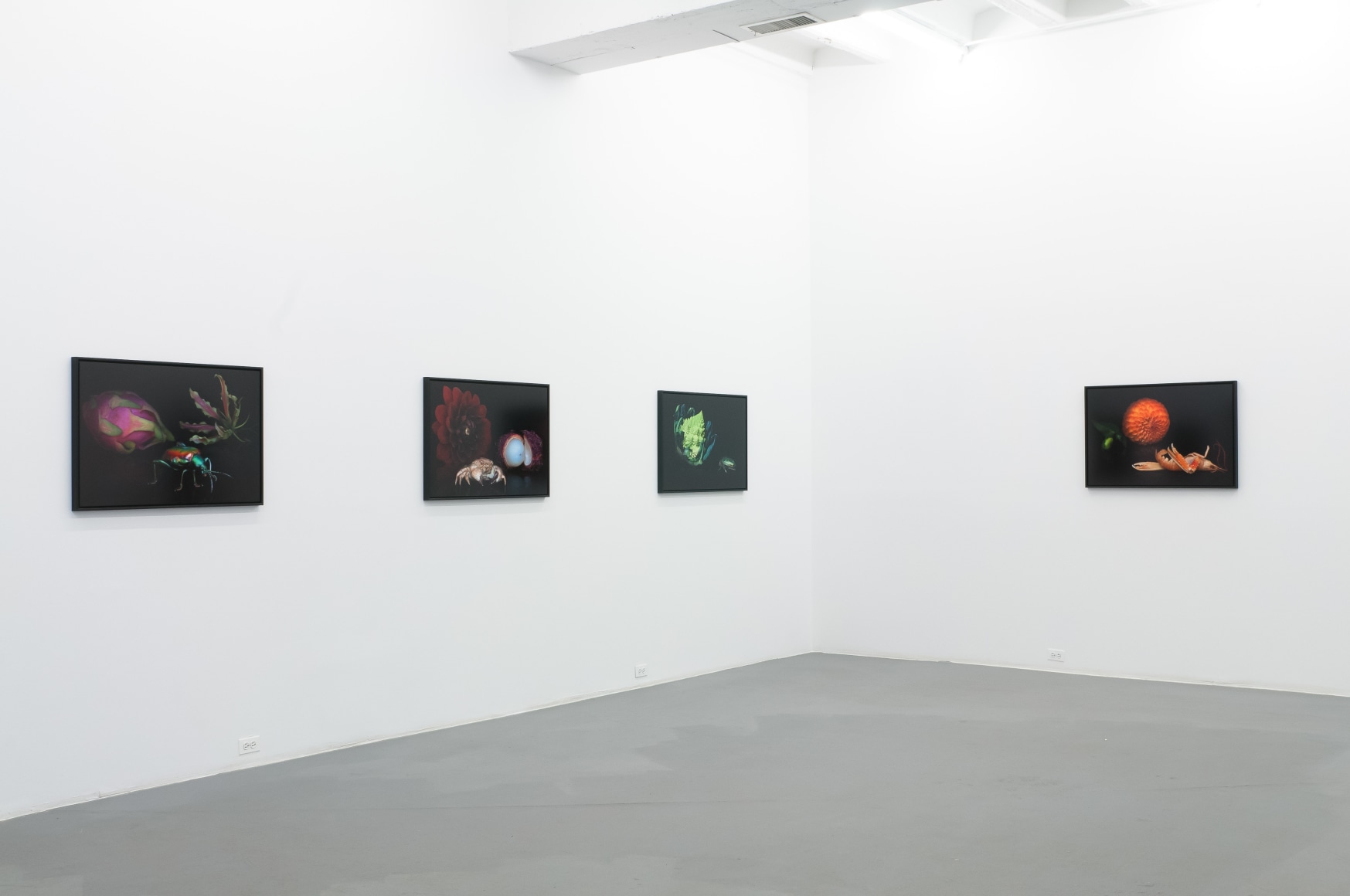 KATIE MILLER  Enduring  2014. Installation view: CONNERSMITH.