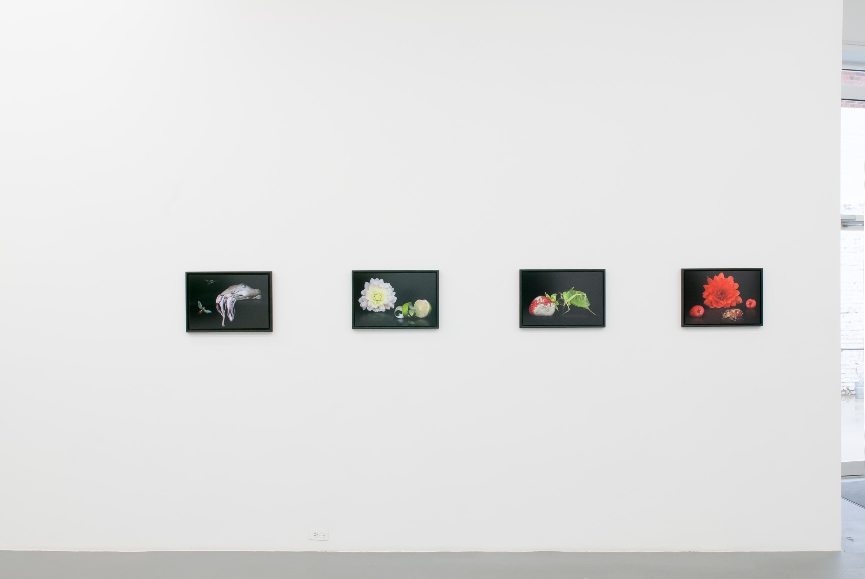 KATIE MILLER  Enduring  2014. Installation view: CONNERSMITH.