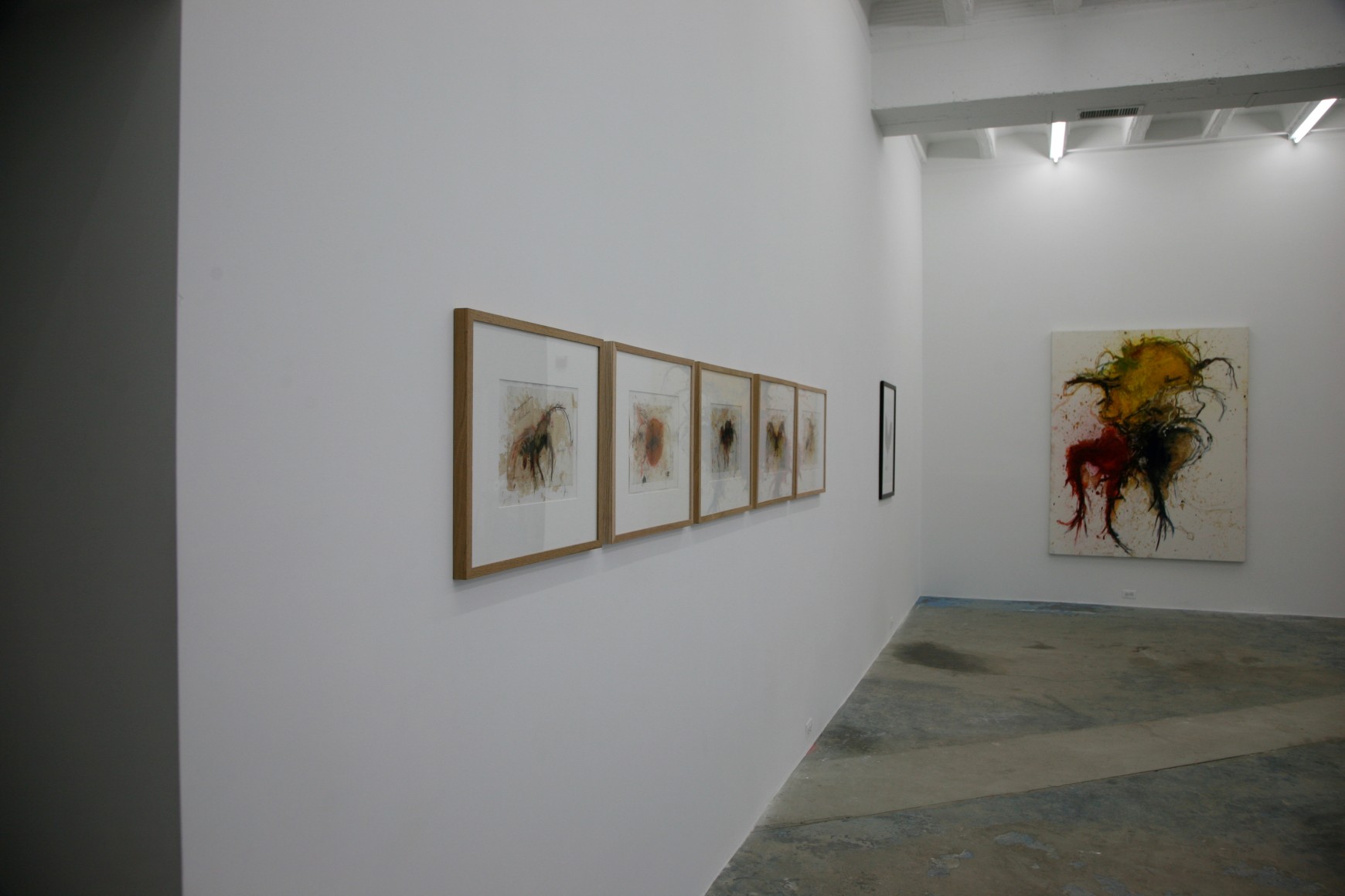 KOEN VANMECHELEN Cosmopolitan Chicken Project (DC) 2009. Installation view: Conner Contemporary Art.