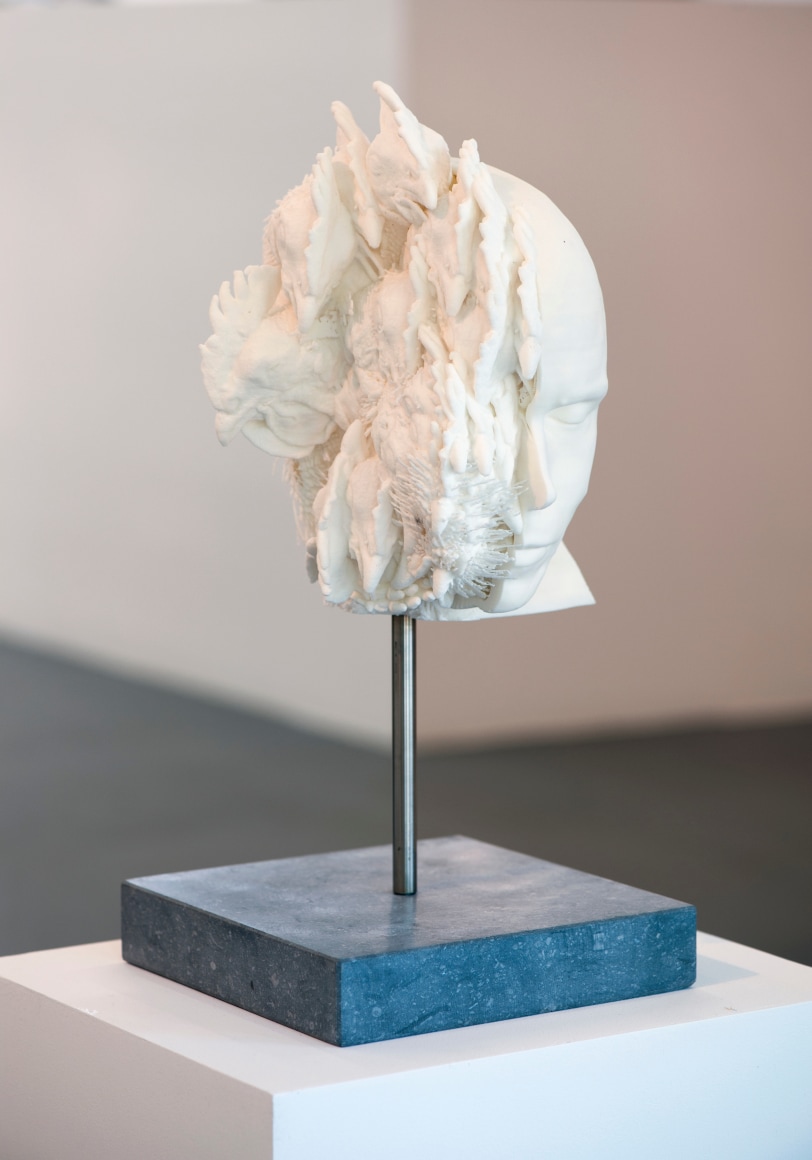 KOEN VANMECHELEN Symbiosis C.C.P 2011, selective lasersintering (polyamide), wood, stainless steel, 19.75 x 10 x 10 inches