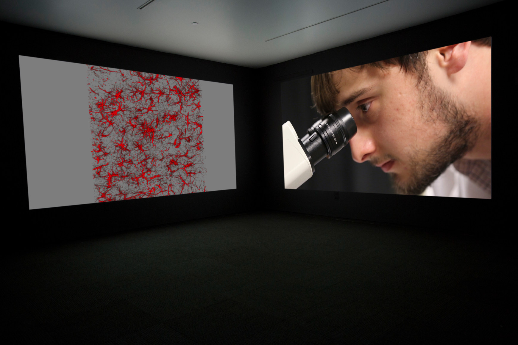 JANET BIGGS_The Persistence of Hope installation view
