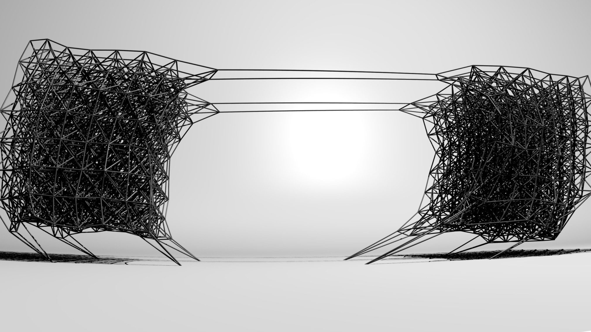 BRANDON MORSE A Confidence of Vertices 2008, digital video, run time: 10:00,