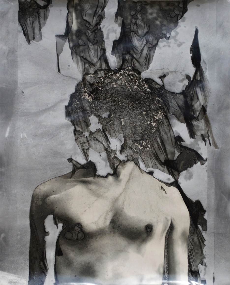 JASON EDWARD TUCKER Wither I  2013, silver gelatin print with mordançage process, 24 x 20 inches