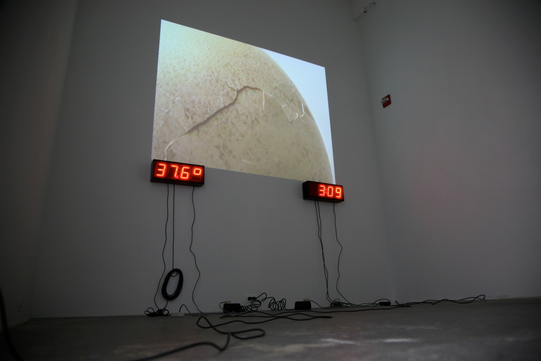 KOEN VANMECHELEN Cosmopolitan Chicken Project (DC) 2009. Installation view: Conner Contemporary Art.