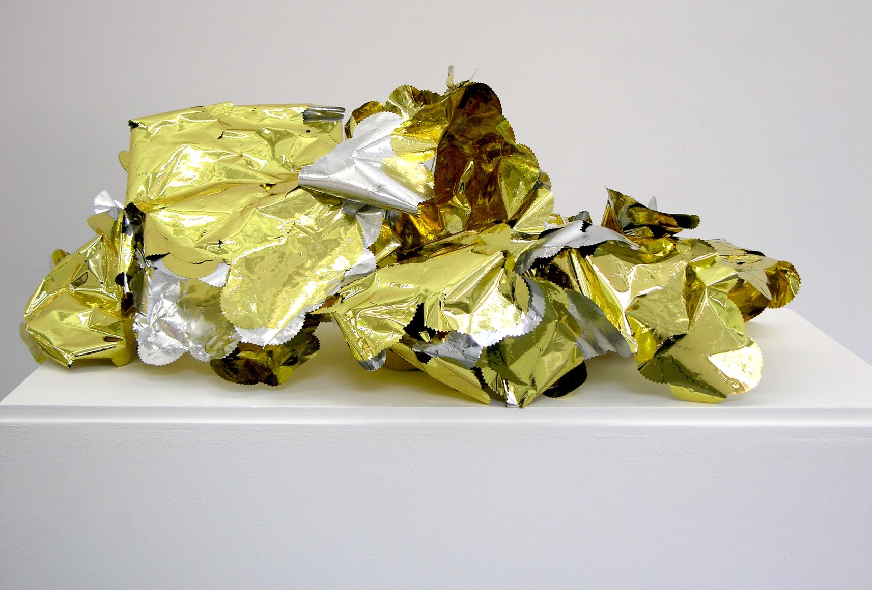 WILMER WILSON IV Shed Skin (Authentic) 2012, performance artifacts, VOLTA NY.