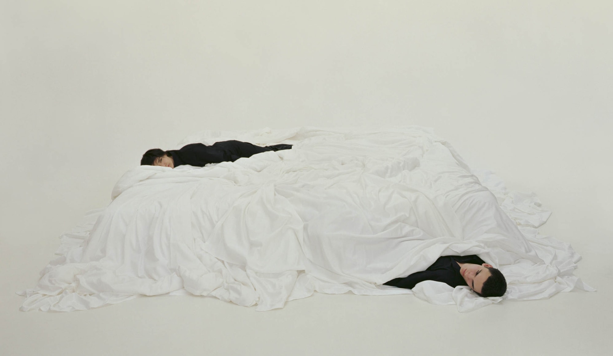 MARIA FRIBERG embedded #2 2006, cibachrome , 35 x 56 inches