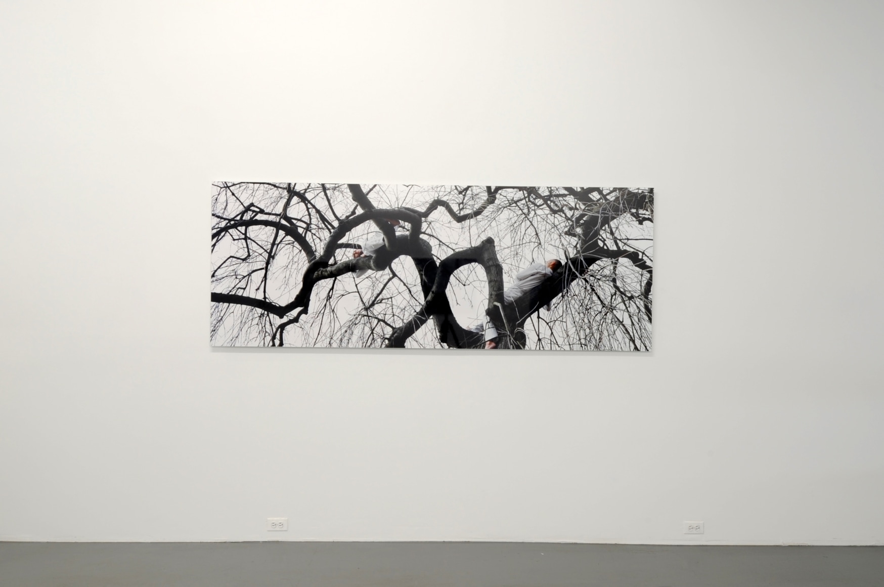 MARIA FRIBERG transmission 2010. Installation view: Conner Contemporary Art.