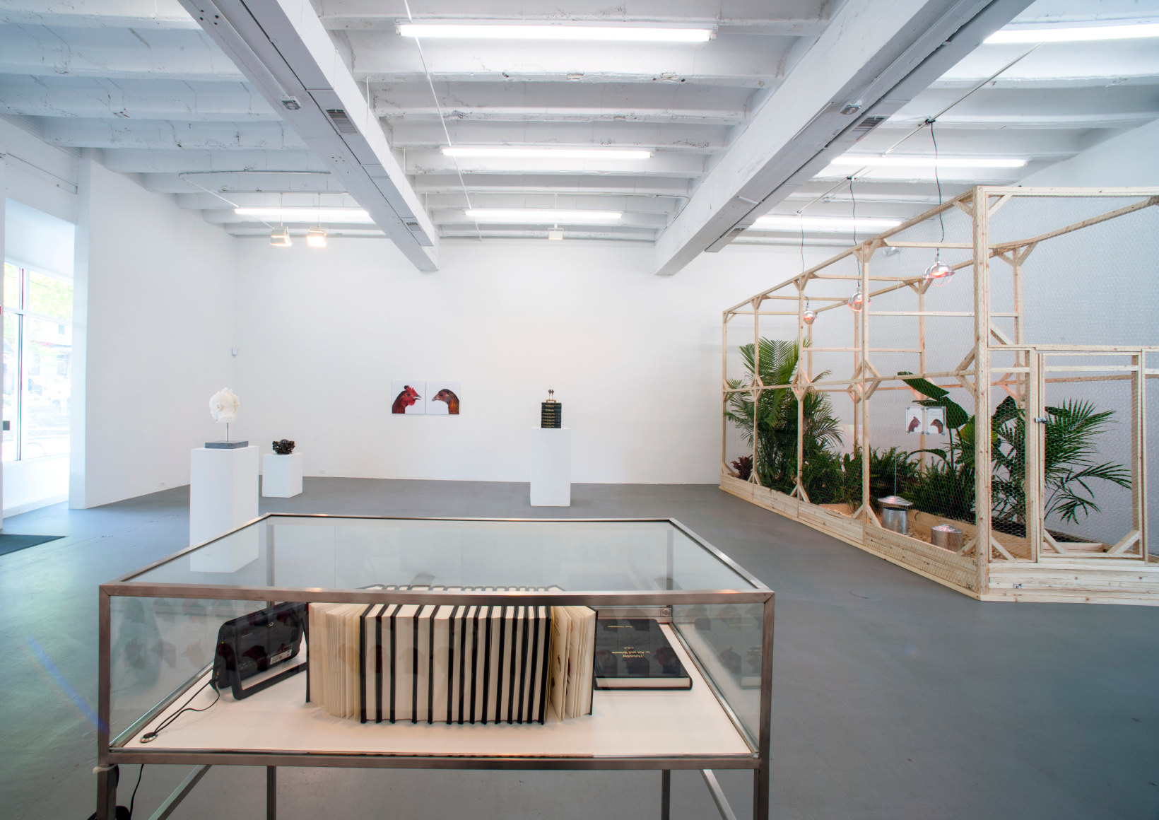 KOEN VANMECHELEN Leaving Paradise 2013. Installation view: CONNERSMITH.