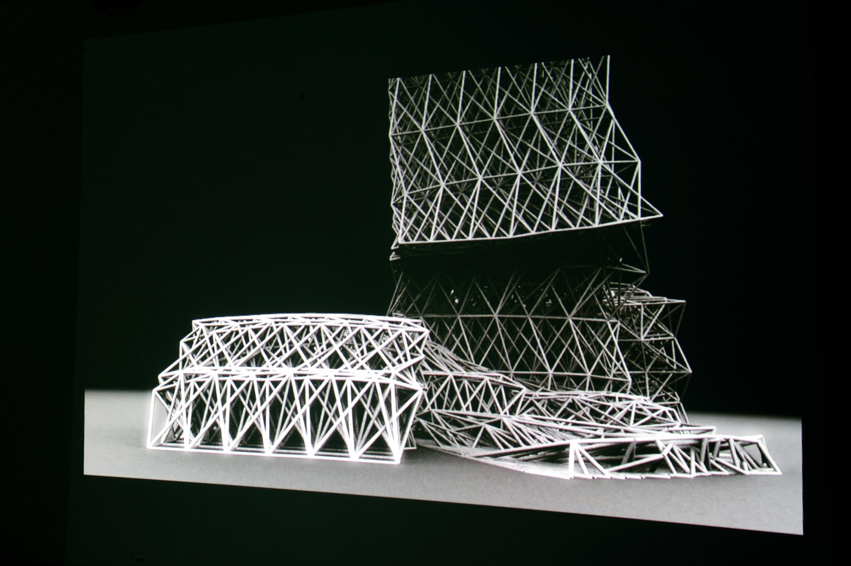 BRANDON MORSE This Shape We're In 2009. Installation view: Conner Contemporary Art.