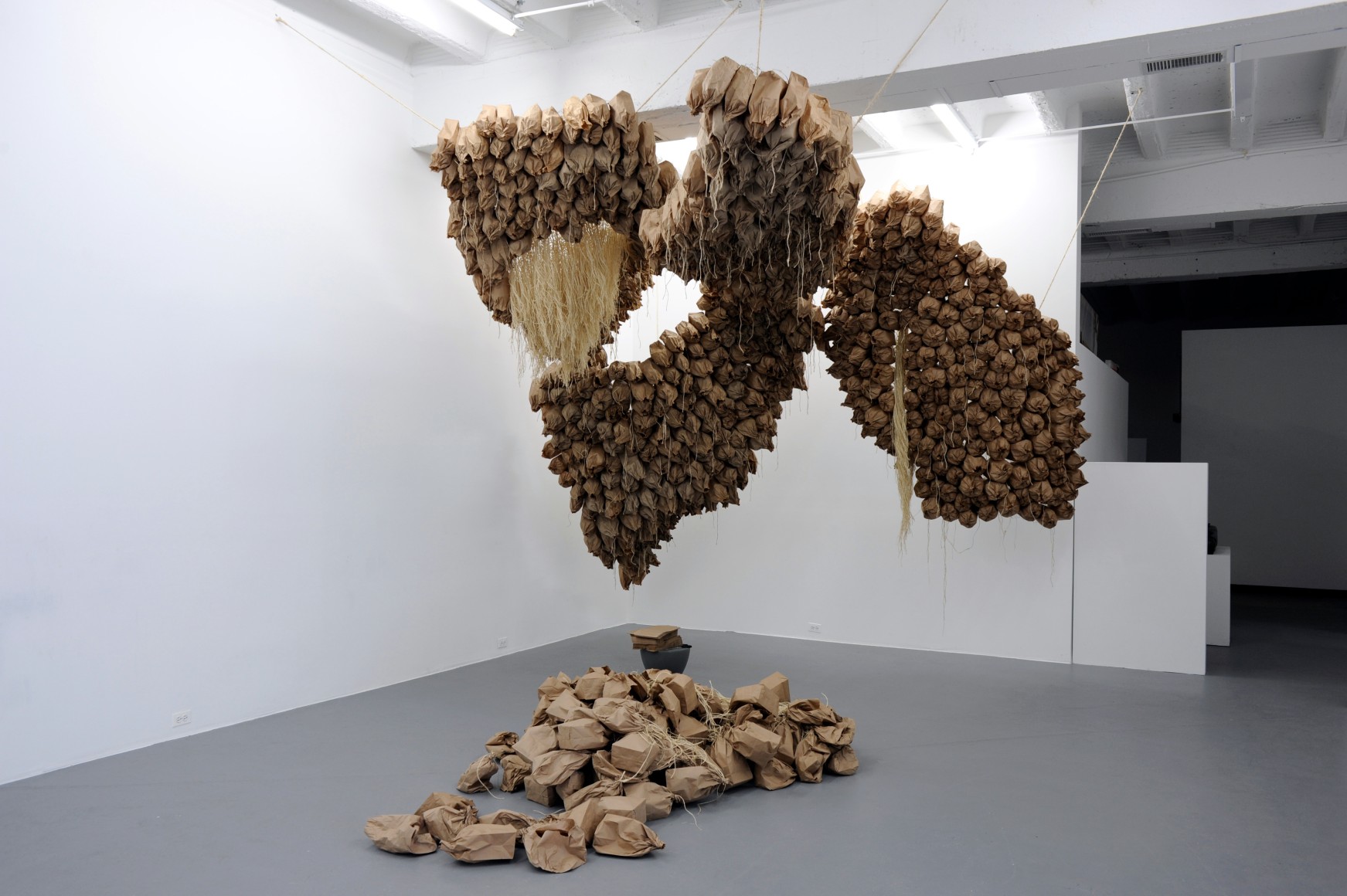WILMER WILSON IV Domestic Exchange 2012. Installation view: Conner Contemporary Art.