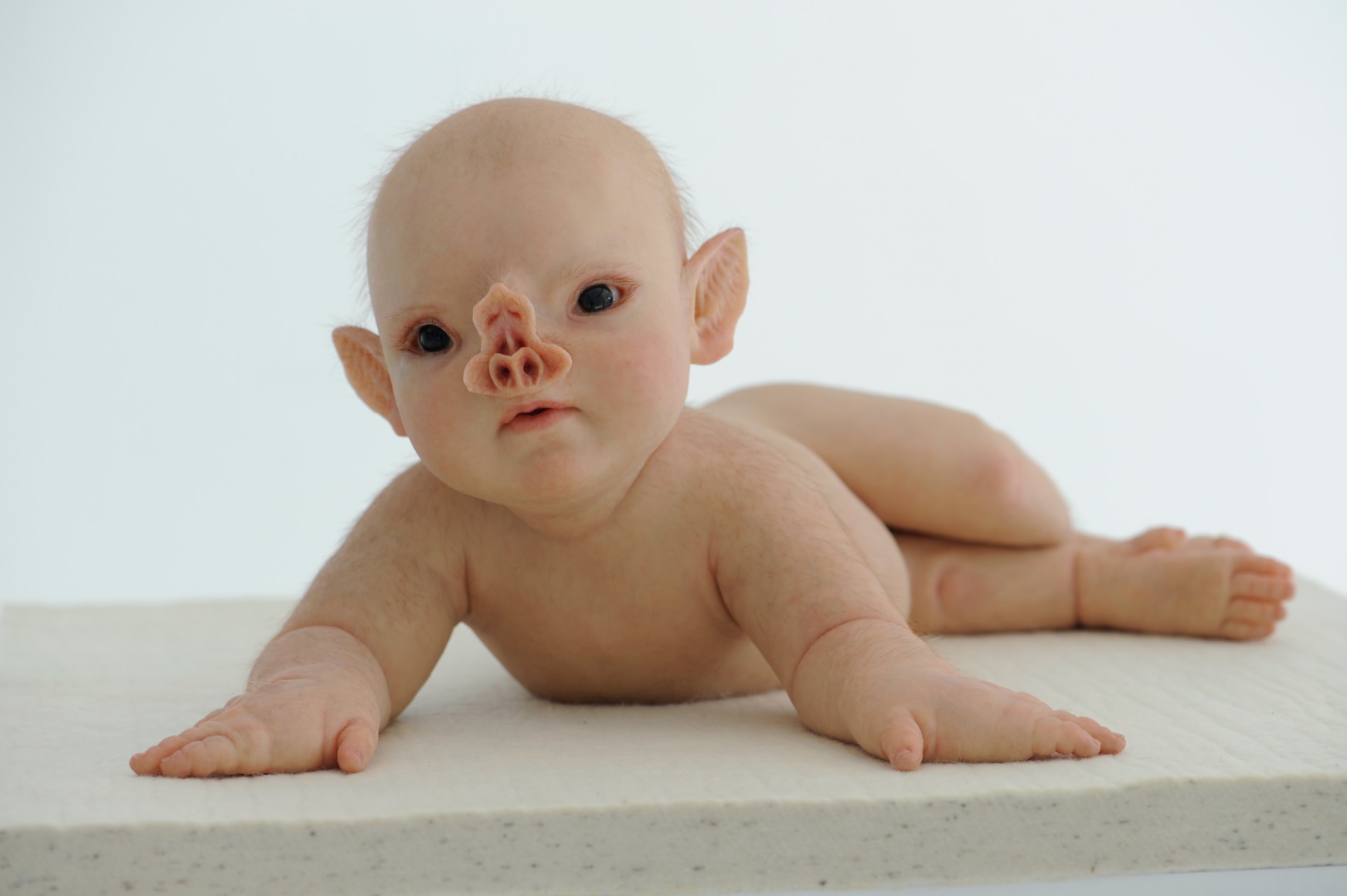 PATRICIA PICCININI Prone 2011, silicone, human hair, felt, 23.5 x 23.5 x 10 inches