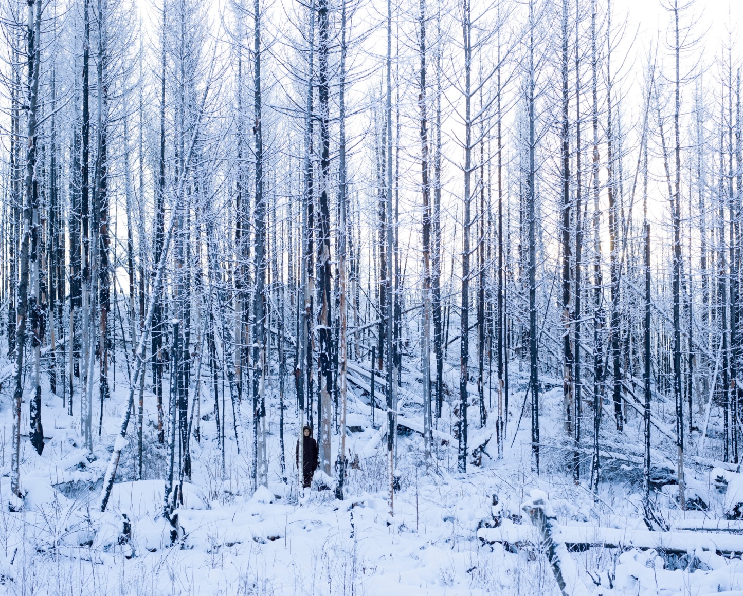 Silent Revolution (2), 2022