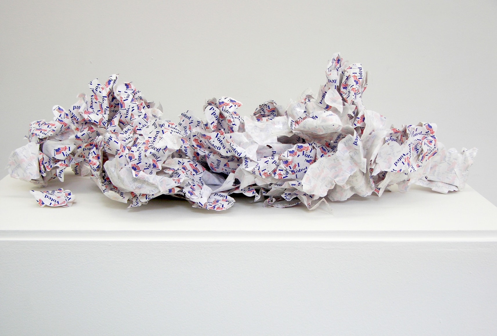 WILMER WILSON IV Shed Skin (Model Citizen) 2012, performance artifacts, VOLTA NY.