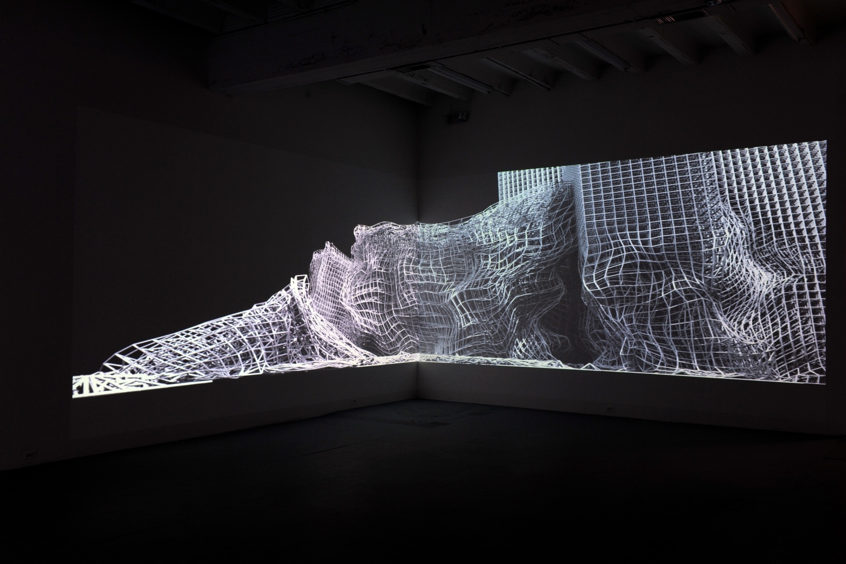 BRANDON MORSE This Shape We're In 2009. Installation view: Conner Contemporary Art.