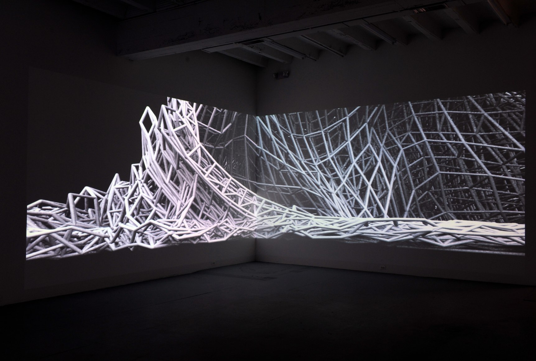 BRANDON MORSE This Shape We're In 2009. Installation view: Conner Contemporary Art.