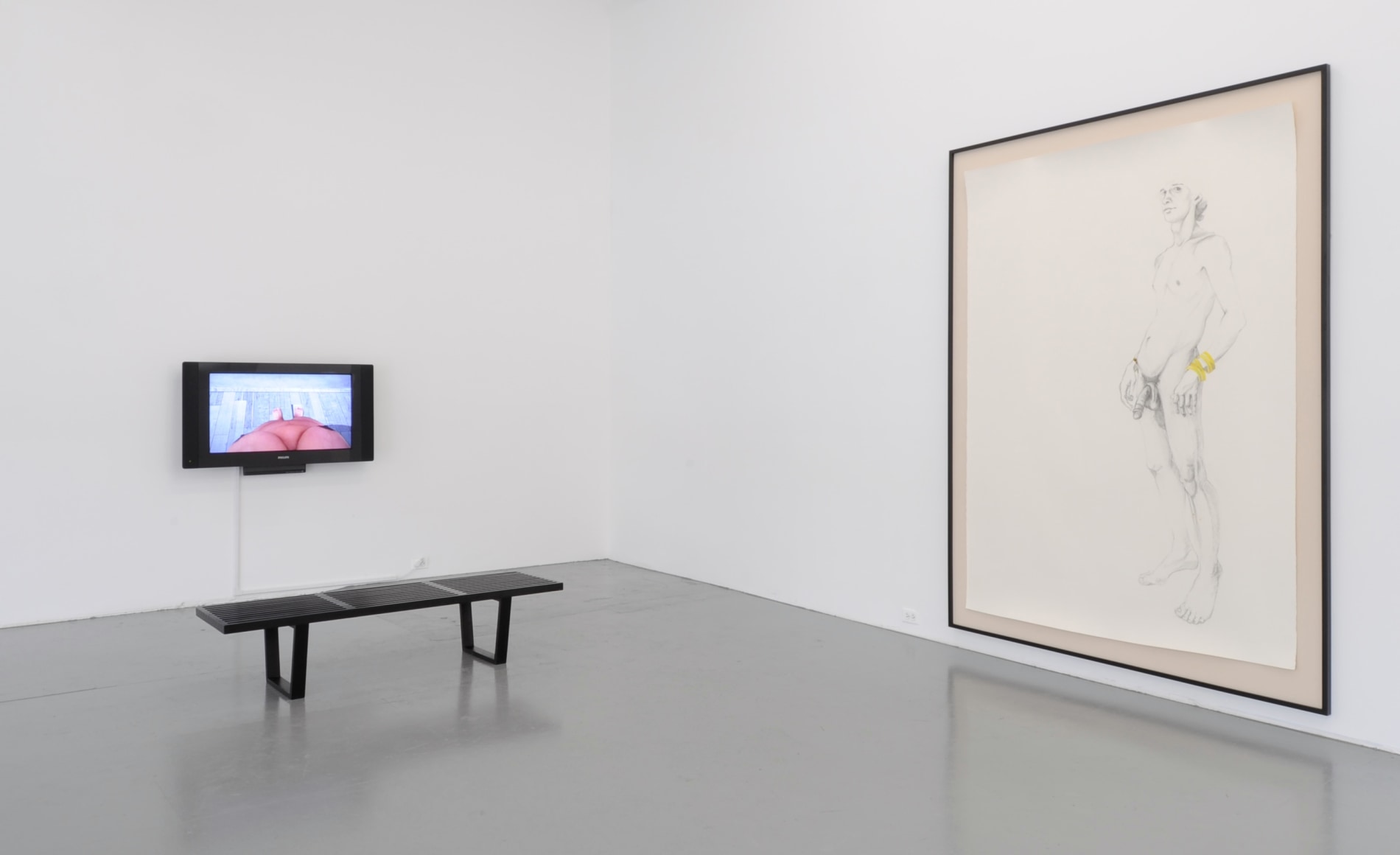 ZOË CHARLTON Paladins and Tourists 2011. Installation view: Conner Contemporary Art.