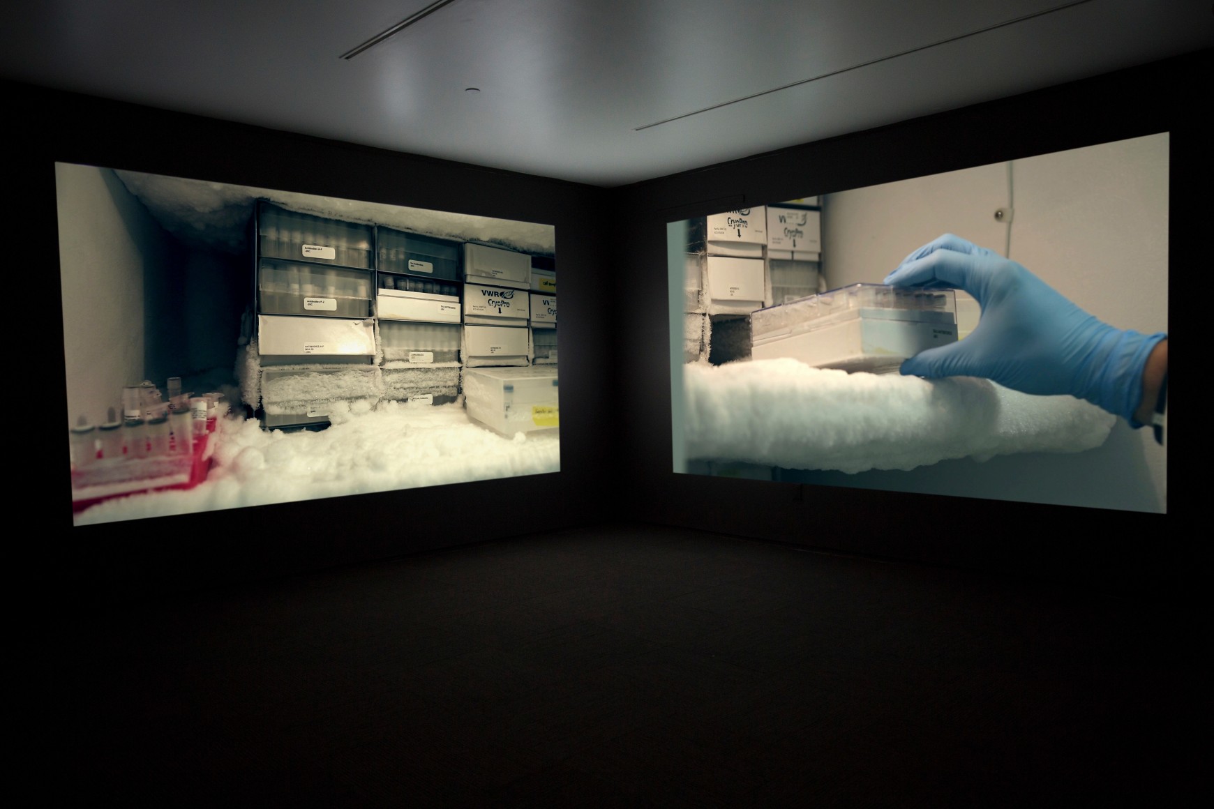 JANET BIGGS_The Persistence of Hope installation view