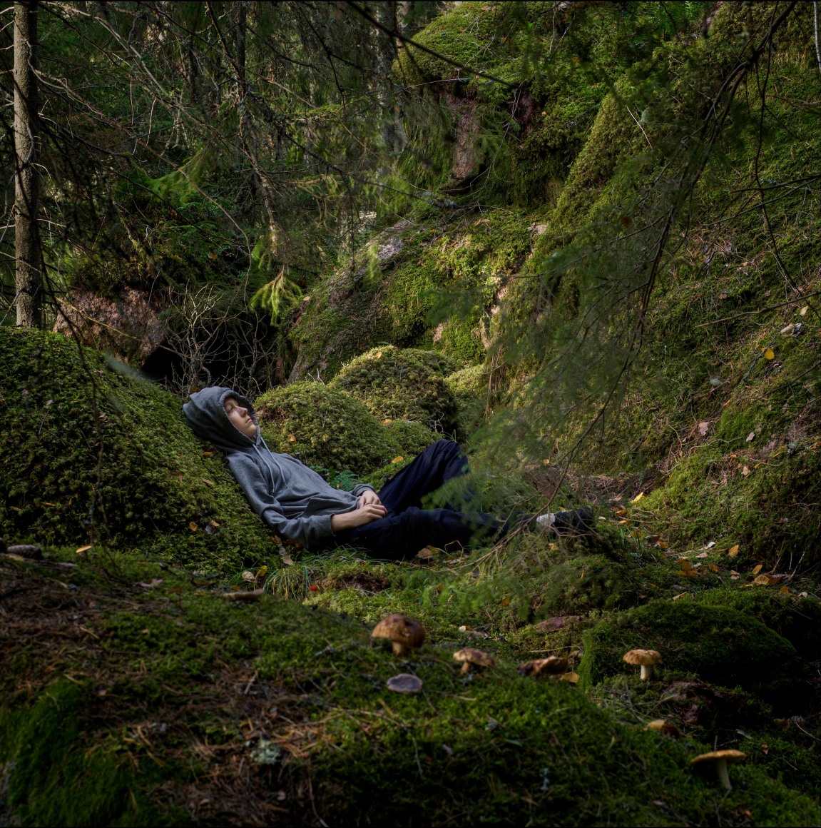 Night Vision (3), 2019