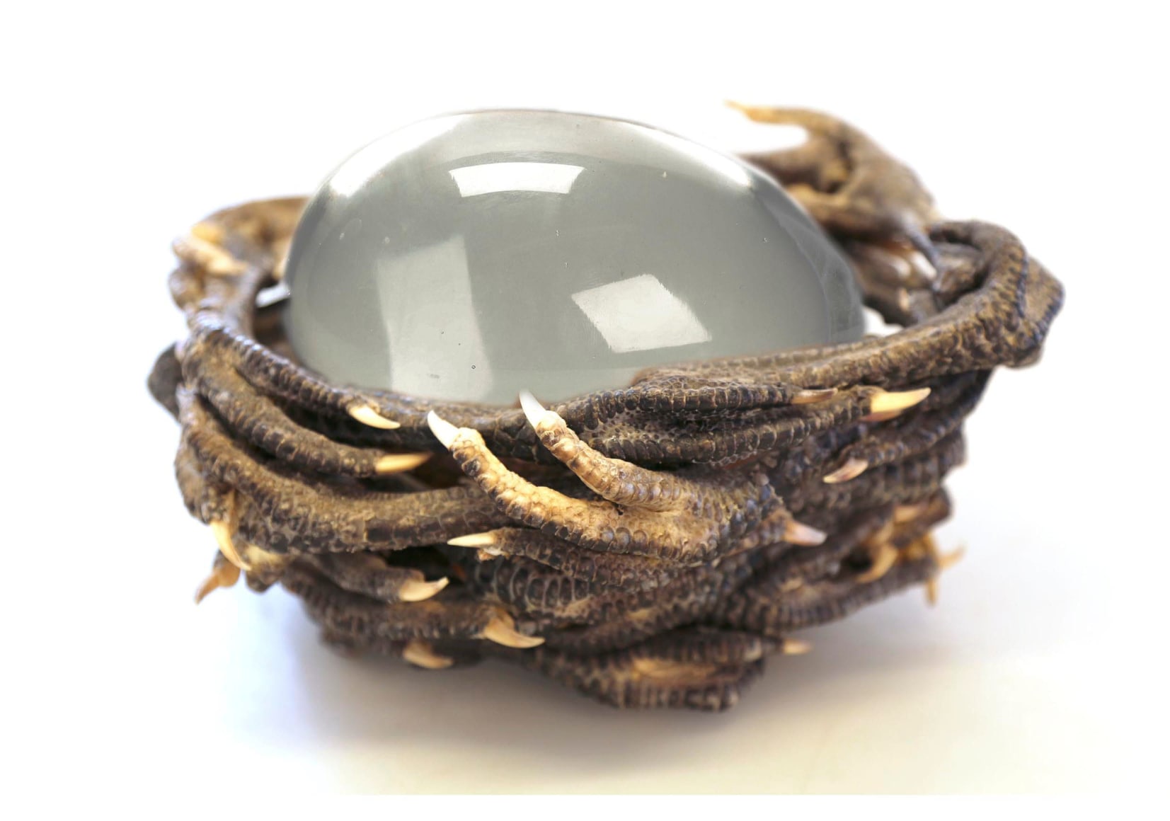 KOEN VANMECHELEN Carried by Generations 2011, chicken feet, glass, 6 x 18 x 10.75 inches