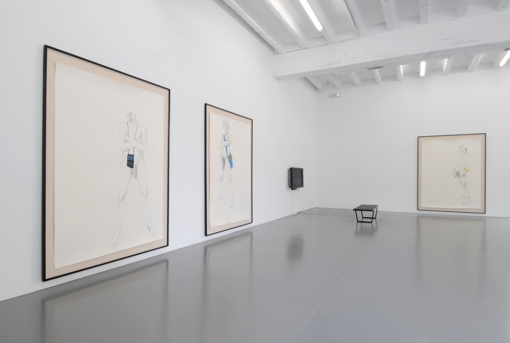 ZOË CHARLTON Paladins and Tourists 2011. Installation view: Conner Contemporary Art.