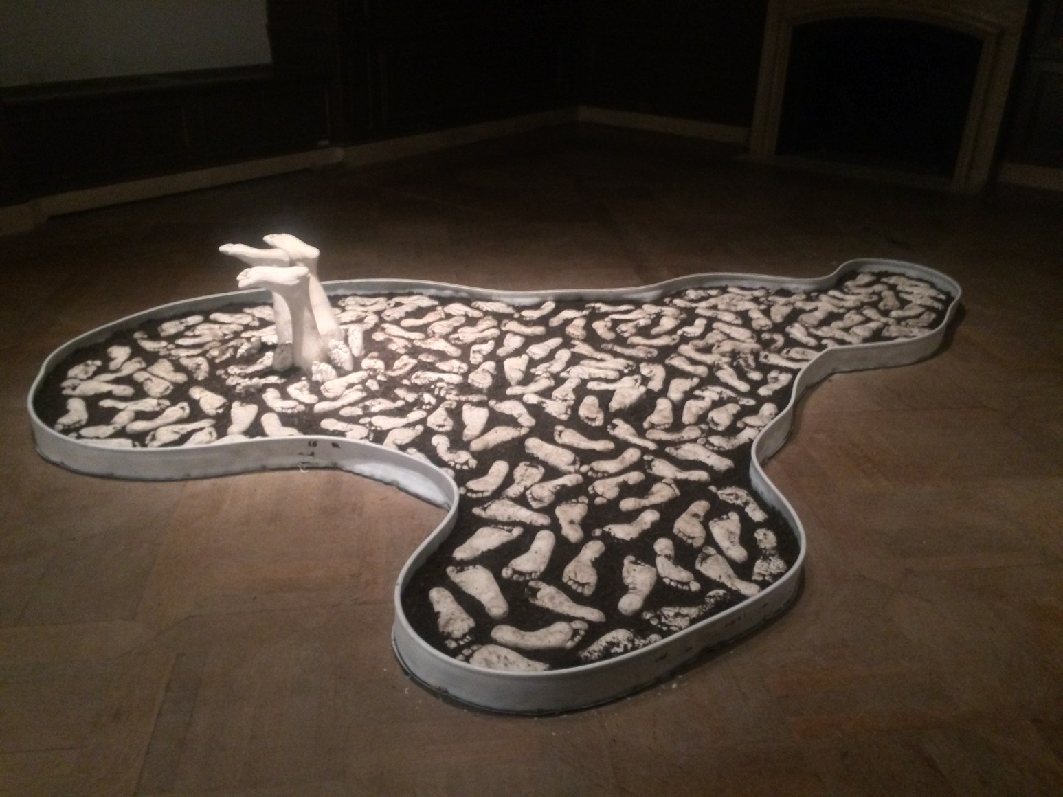 PATRICK QUINN  Fertile Ground  2017, mixed media, dimensions variable