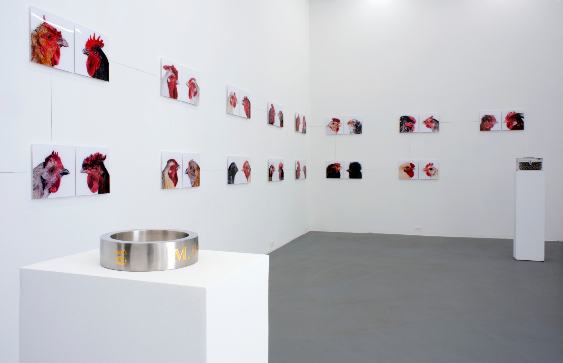 KOEN VANMECHELEN Leaving Paradise 2013. Installation view: CONNERSMITH.