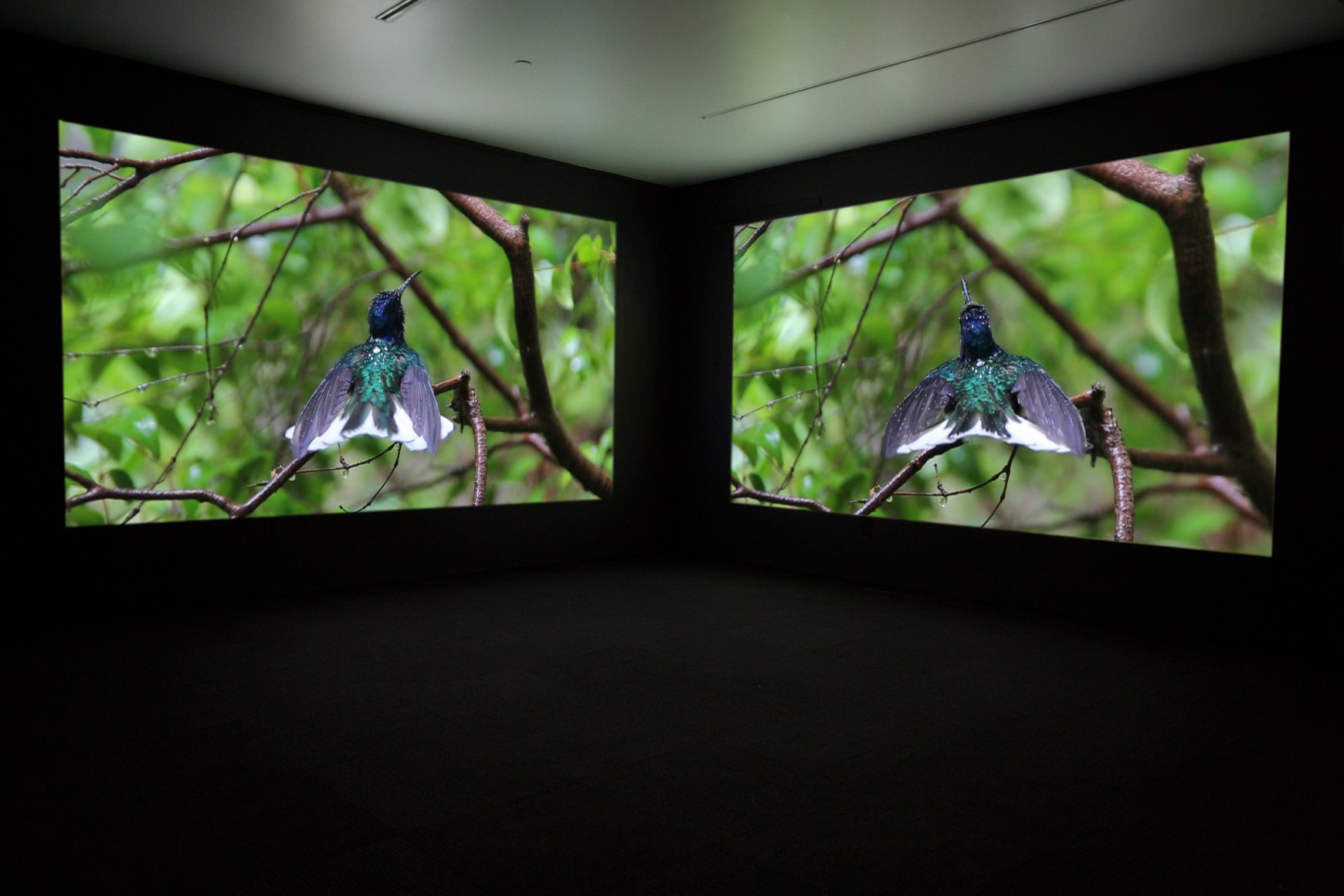 JANET BIGGS_The Persistence of Hope installation view