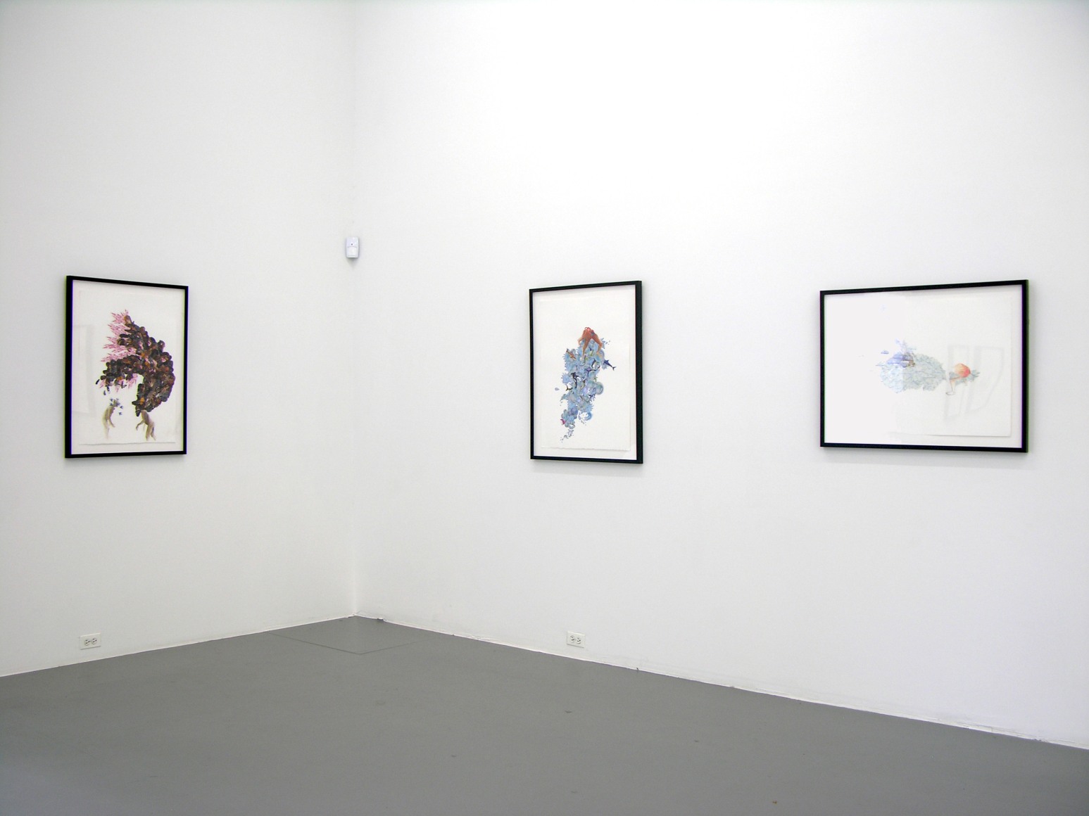 ZOË CHARLTON festoon 2013. Installation view: CONNERSMITH.