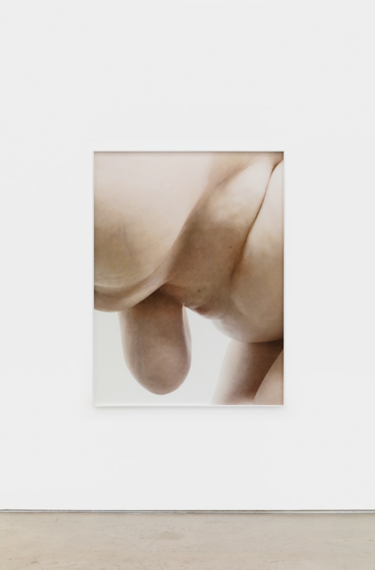 Polly Borland Nudie (8), 2021 Archival pigment print 53 1/4 x 40 in (image) 135.3 x 101.6 cm (image) 53 1/2 x 40 1/4 x 1 1/2 in (framed) 135.9 x 102.2 x 3.8 cm (framed) Edition of 3 plus 2 artist's proofs (#1/3) (PBO21.008)
