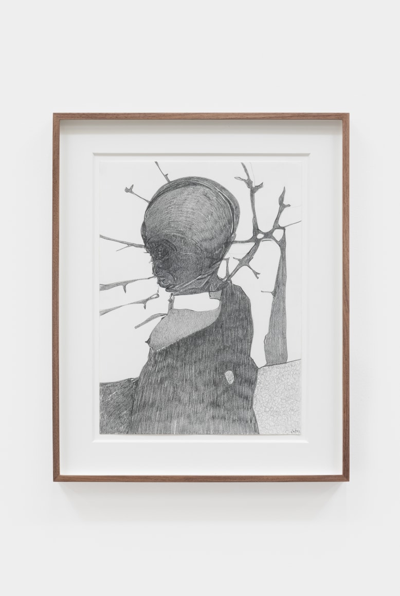 Nicola Tyson Disgruntled, 2022 Graphite on Paper 16 3/8 x 13 1/8 x 1 1/2 in (framed) 41.6 x 33.3 x 3.8 cm (framed) (NTY22.005)