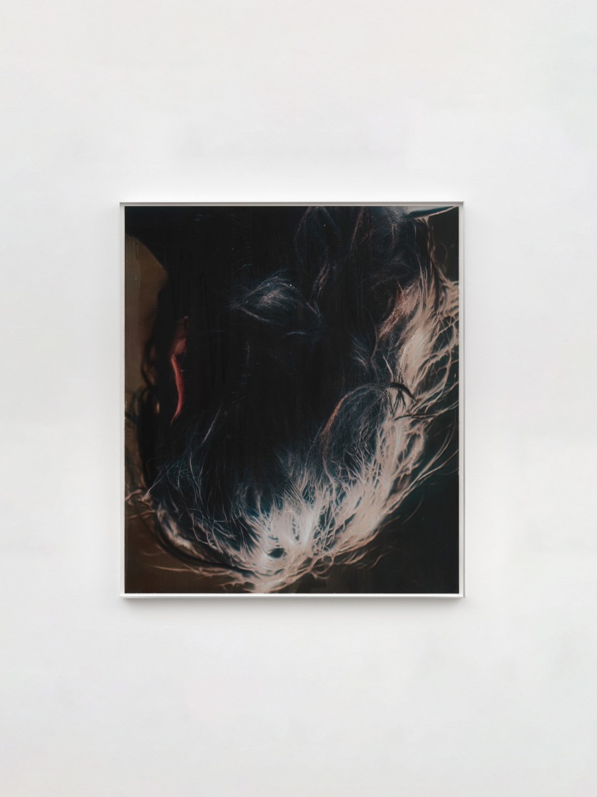David Moy Liam, 2025 Ultrachrome inkjet on panel with varnish 23 x 20 in (unframed) 58.4 x 50.8 cm (unframed) (DMO25.021)