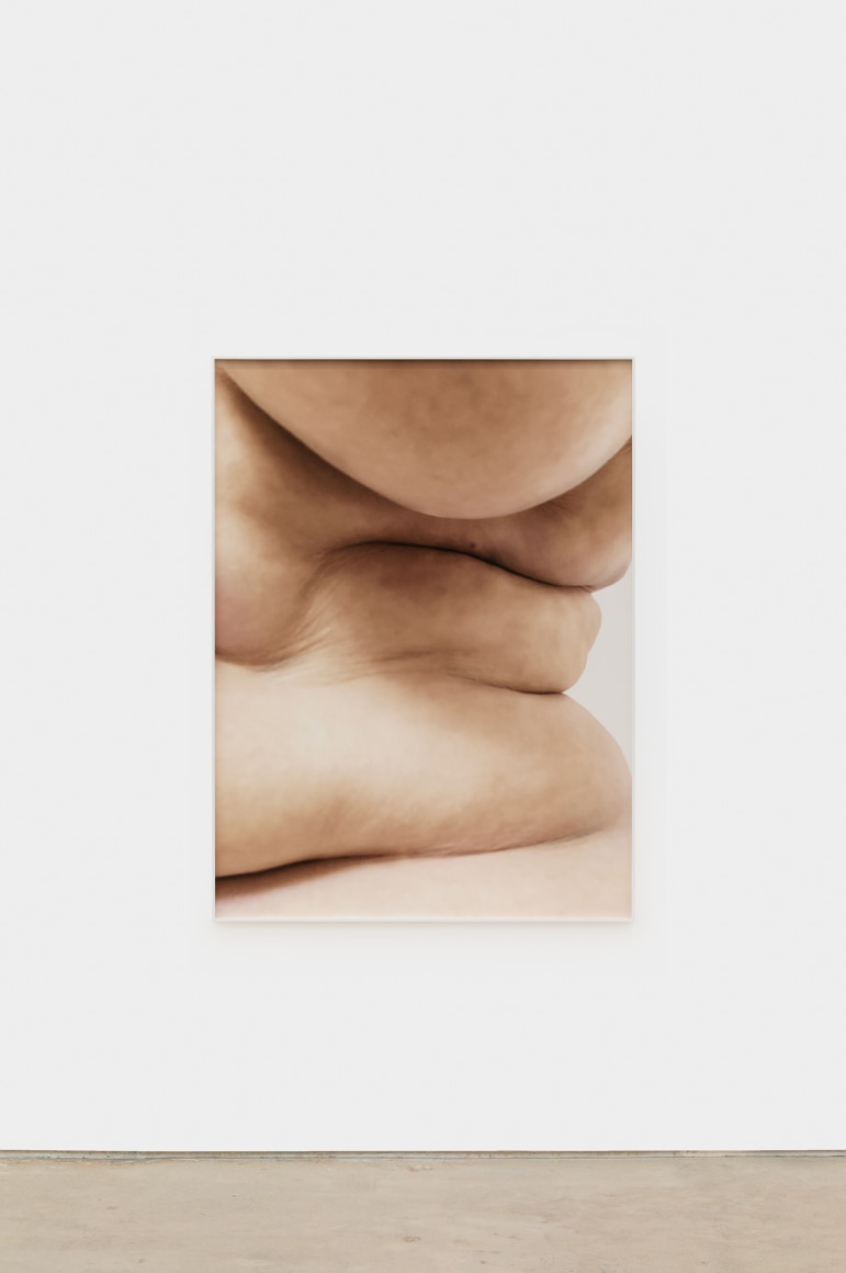 Polly Borland Nudie (9), 2021 Archival pigment print 53 1/4 x 40 in (image) 135.3 x 101.6 cm (image) 53 1/2 x 40 1/4 x 1 1/2 in (framed) 135.9 x 102.2 x 3.8 cm (framed) Edition of 3 plus 2 artist's proofs (#1/3) (PBO21.009)