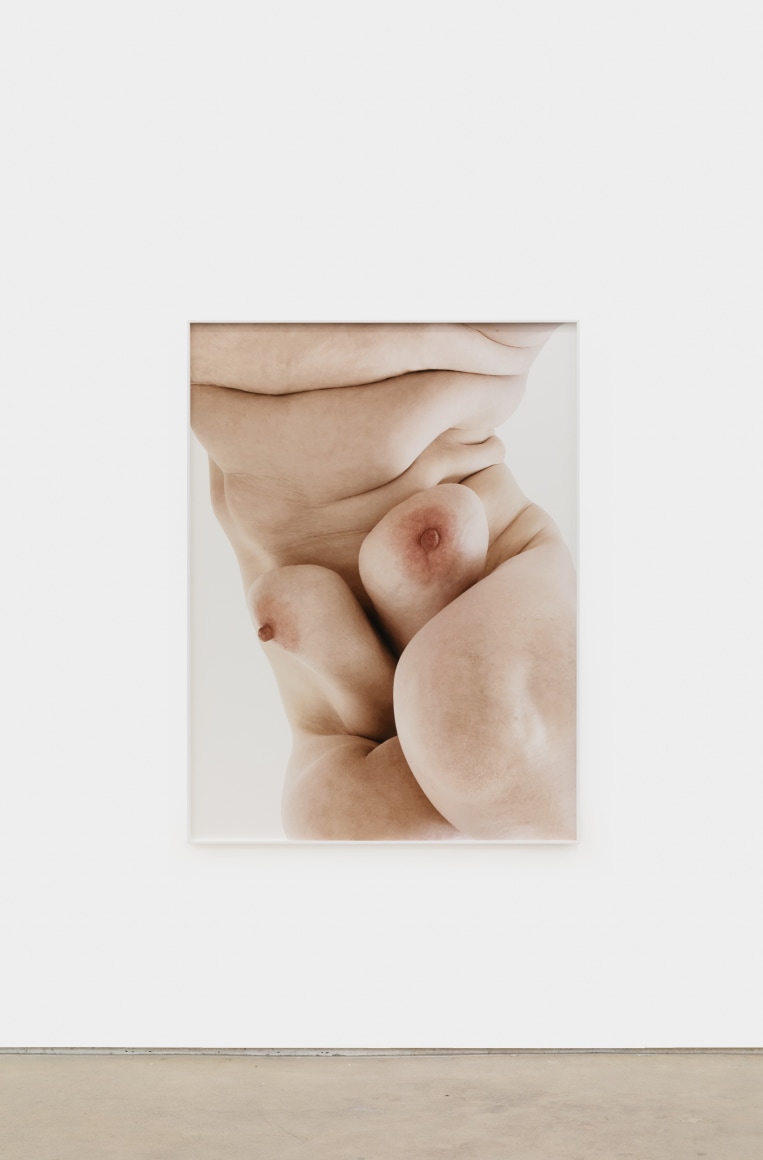 Polly Borland Nudie (11), 21 Archival pigment print 53 1/4 x 40 in (image) 135.3 x 101.6 cm (image) 53 1/2 x 40 1/4 x 1 1/2 in (framed) 135.9 x 102.2 x 3.8 cm (framed) Edition of 3 plus 2 artist's proofs (#1/3) (PBO21.011)