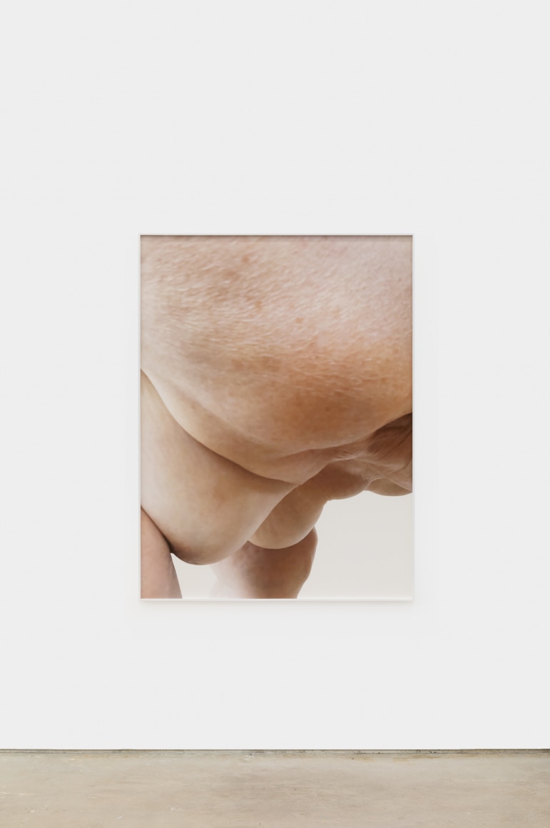 Polly Borland Nudie (5), 2021 Archival pigment print 53 1/4 x 40 in (image) 135.3 x 101.6 cm (image) 53 1/2 x 40 1/4 x 1 1/2 in (framed) 135.9 x 102.2 x 3.8 cm (framed) Edition of 3 plus 2 artist's proofs (#1/3) (PBO21.005)