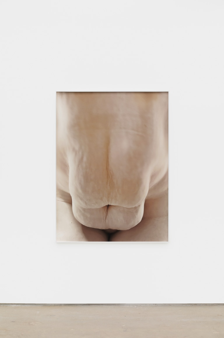 Polly Borland Nudie (13), 2021 Archival pigment print 53 1/4 x 40 in (image) 135.3 x 101.6 cm (image) 53 1/2 x 40 1/4 x 1 1/2 in (framed) 135.9 x 102.2 x 3.8 cm (framed) Edition of 3 plus 2 artist's proofs (#1/3) (PBO21.013)