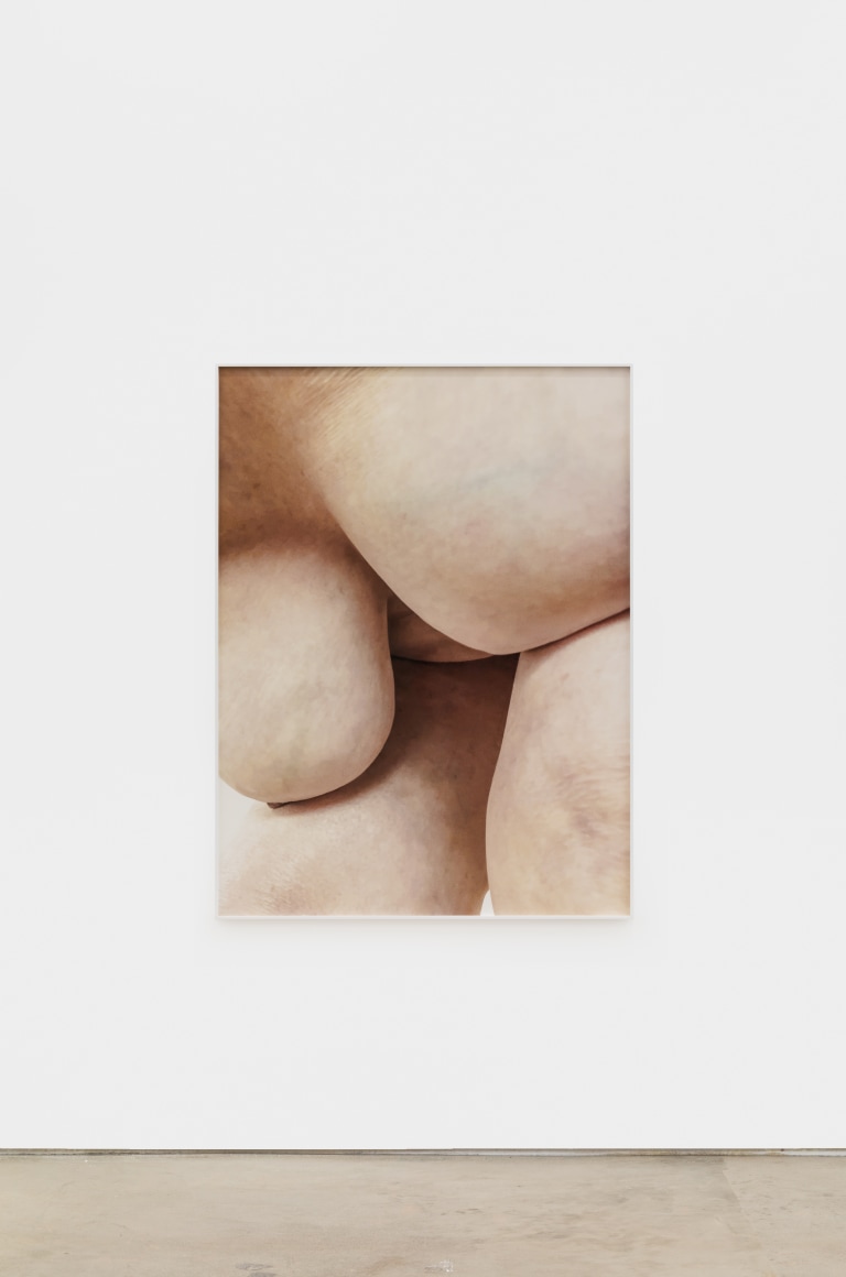 Polly Borland Nudie (6), 2021 Archival pigment print 53 1/4 x 40 in (image) 135.3 x 101.6 cm (image) 53 1/2 x 40 1/4 x 1 1/2 in (framed) 135.9 x 102.2 x 3.8 cm (framed) Edition of 3 plus 2 artist's proofs (#1/3) (PBO21.006)