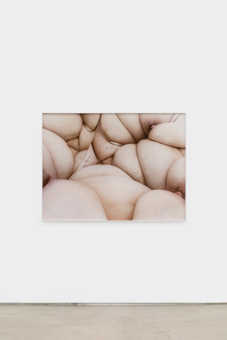 Polly Borland Nudie (10), 2021 Archival pigment print 40 x 53 1/4 in (image) 101.6 x 135.3 cm (image) 40 1/4 x 53 1/2 x 1 1/2 in (framed) 102.2 x 135.9 x 3.8 cm (framed) Edition of 3 plus 2 artist's proofs (#1/3) (PBO21.010)
