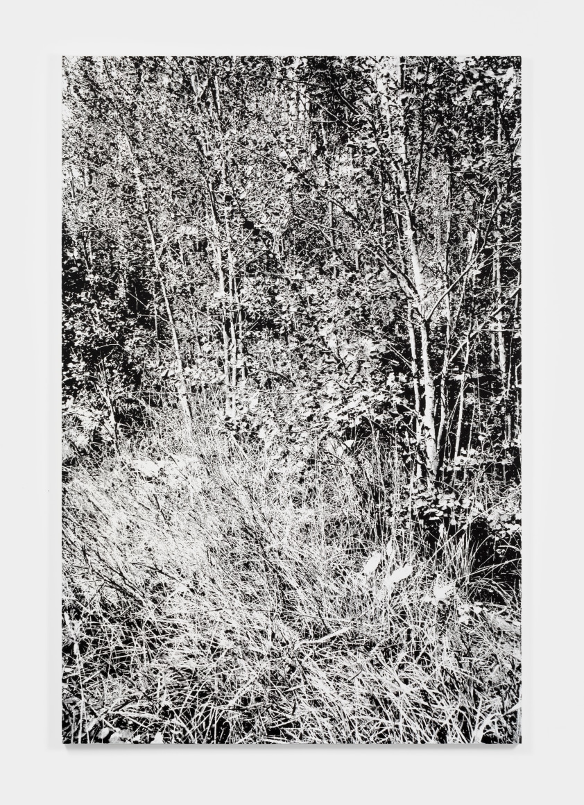 James Chronister In Between Days, 2020 Oil on canvas 72 x 48 in 182.9 x 121.9 cm (JCH21.001)
