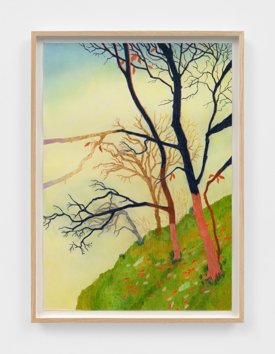 Per Adolfsen Hillside, 2025 Signed, titled, and dated on verso Colored pencil on Hahnemühle paper 35 1/8 x 25 5/8 in (framed) 89.2 x 65 cm (framed) (PAD25.014)