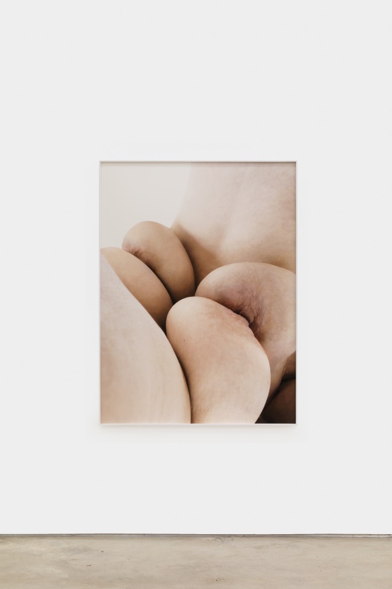 Polly Borland Nudie (2), 2021 Archival pigment print 53 1/4 x 40 in (image) 135.3 x 101.6 cm (image) 53 1/2 x 40 1/4 x 1 1/2 in (framed) 135.9 x 102.2 x 3.8 cm (framed) Edition of 3 plus 2 artist's proofs (#1/3) (PBO21.016)