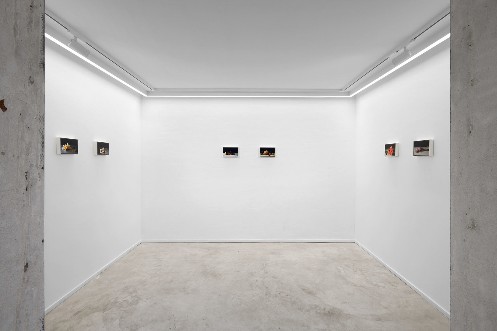 Installation view of David Moy, Double Negative, Nino Mier Gallery, Brussels, June 13 – July 19, 2025