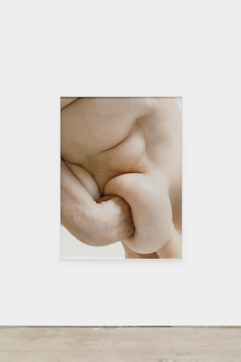 Polly Borland Nudie (1), 2021 Archival pigment print 53 1/4 x 40 in (image) 135.3 x 101.6 cm (image) 53 1/2 x 40 1/4 x 1 1/2 in (framed) 135.9 x 102.2 x 3.8 cm (framed) Edition of 3 plus 2 artist's proofs (#1/3) (PBO21.017)