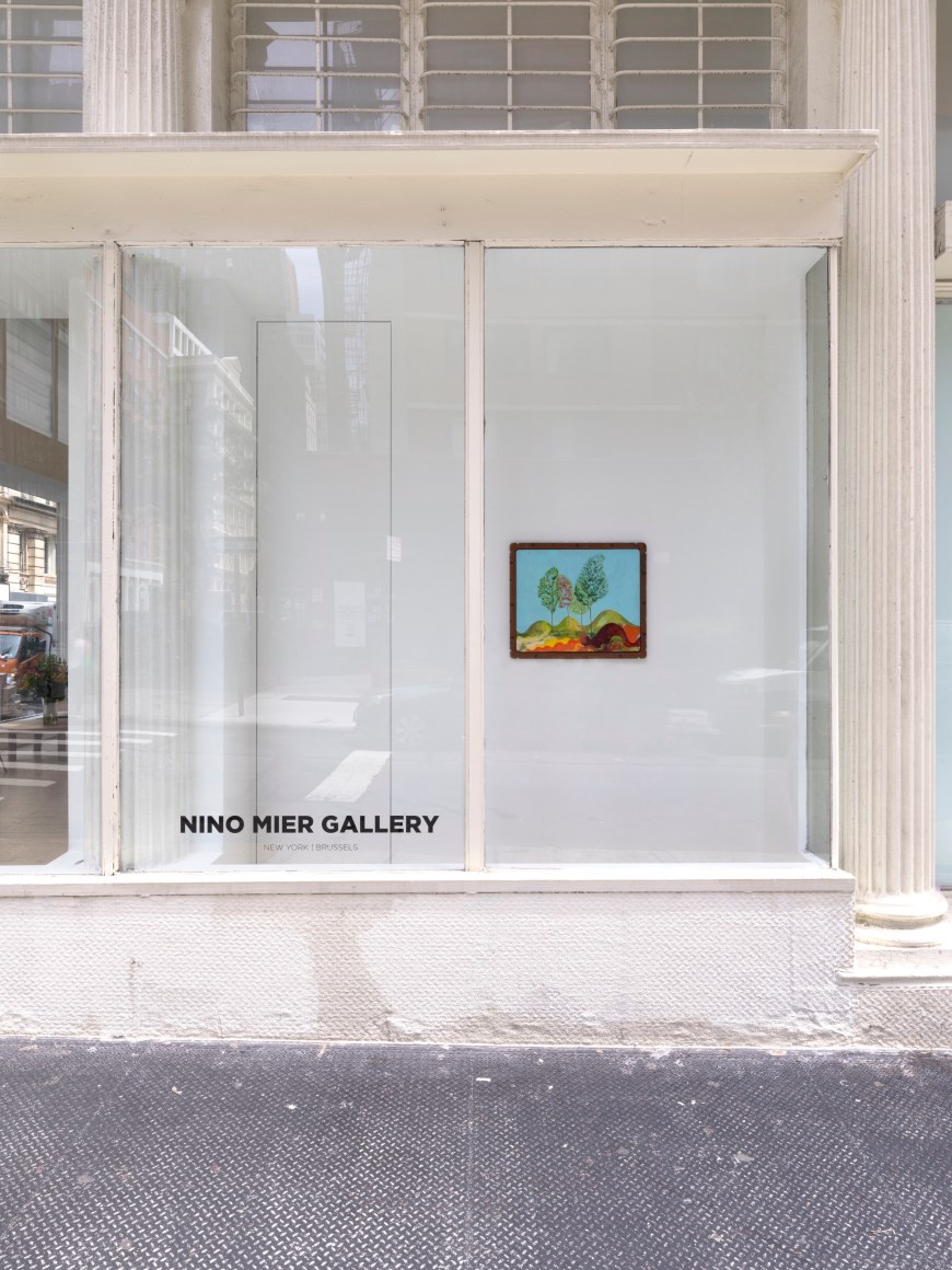 Installation view of Karel Dicker, tamed flowers, Nino Mier Gallery, Tribeca, June 27 – August 8, 2025