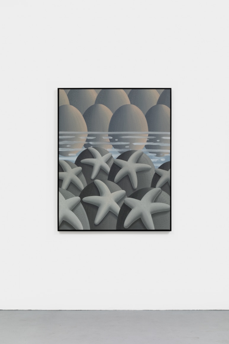 Laurens Legiers Sea Stars in The Morning , 2021