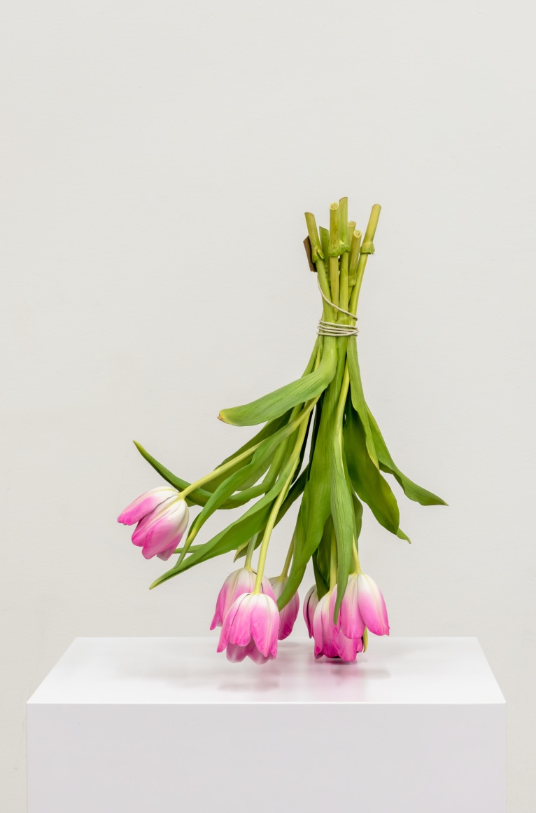 Tony Matelli Arrangement, 2023 Painted bronze, stainless steel 19 x 17 x 13 in 48.3 x 43.2 x 33 cm (TMA23.006)